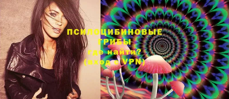 Галлюциногенные грибы Psilocybe Кинешма